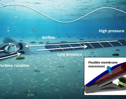 Bambora and AMC Team Up on Wave Energy