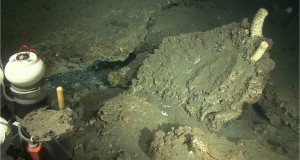 Carbonate crusts at the observing site HYBIS at 385 metres water depth. For comparison the white organisms in the right part of the picture have a length of about 15 cm. Carbonates of this size require several 100 years to build-up.