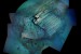 USA: WHOI Team Brings New View of Titanic to World