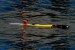 Hydroid Ships Four REMUS 100 AUVs to Japanese Ministry of Defense