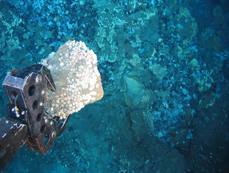 India to Invest in Deep Sea Mining Industry India to Invest in Deep Sea Mining Industry