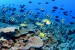 USA: NOAA’s National Marine Sanctuary System Preserves and Protects Ocean Treasures