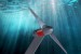 UK: Tocardo Attends 6th Annual Tidal Energy Summit and Awards Ceremony