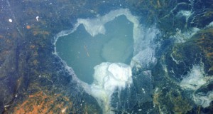 Taiwan NCU Uncovers Gas Potential of Seabed 'Mud Volcanoes'