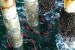 UK: FoundOcean Expands its Subsea and Offshore Services with Introduction of Marine Growth Prevention and Control Products