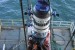 UK: Four O&G Companies Join Plexus’ JIP for Development of POS-GRIP HGSS Subsea Wellhead