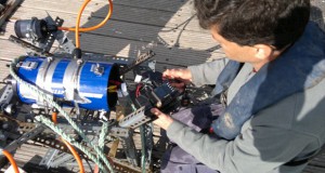UK New Marine Noise Research to Inform Offshore Wind Farm Rollout