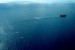 Australia: Northern Territory Seafood Council Calls for Ban on Underwater Seismic Tests