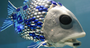 UK BMT Robotic Fish Returns to Science Museum