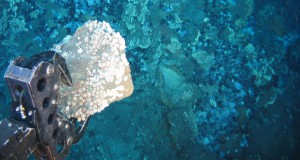 Nautilus Confirms Teck's Withdrawing from Mining Activities in Fijian Waters