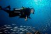 USA: NOAA Announces Final Management Plan for Flower Garden Banks Sanctuary