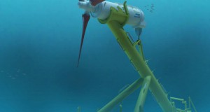 UK: Bowtech Supplies Vision System to Scotland's First Tidal Energy Project