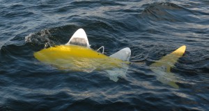 UK SHOAL Develops Robotic Fish for Water Pollution Detection .