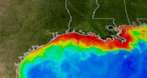 NOAA Predicts Hypoxic Zone in Gulf of Mexico