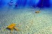 Visiongain Analysis Indicates USD 8.89 Bln Subsea Production & Processing Systems Market