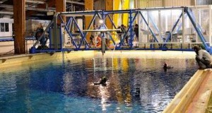 France: Ifremer Offers Free Access to Its Testing Facilities