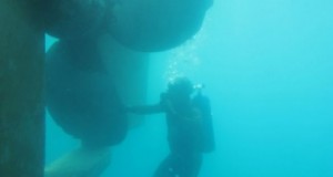 FN Diving to Showcase at SMM 2012 (Germany)