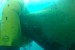 Hydrex Conducts Underwater Stern Tube Seal Repairs in Panama and UAE