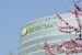 Iberdrola – Eole Res Consortium Is THETIS EMR’s Silver Sponsor (France)