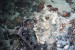 Papua New Guinea: Nautilus Gets 20-Year Mining Licence