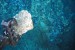 India Explores Deep Sea Minerals