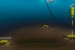 Norske Shell to Use Subsea Loading System on Draugen Field (Norway)