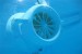Tidal Energy More Tangible for Territory, Australia