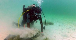 CSA International Completes Seagrass Restoration Project Off Jamaica