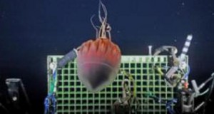 New Developments Underway at Ocean Networks Canada