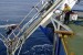 New Zealand: Chatham Rock Phosphate Share Price Soars on Key Milestones