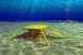 Norway: Seabed Template Helps in Recovering of 10 MBOE from New Fram Field