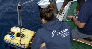 Oceana Documents Presence of Litter in the Gorringe Bank (Spain)