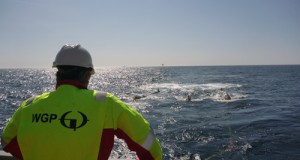WGP Completes 2d Survey in Russian High Arctic