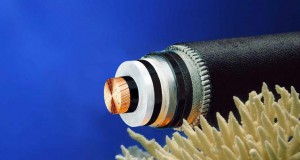Plans for Fifth Submarine Cable in Kenya Underway