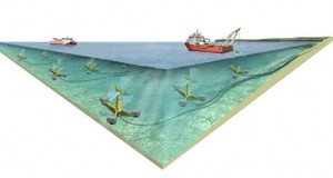MeyGen Plans to Use Purpose-Built Catamaran for Its Tidal Energy Project in UK