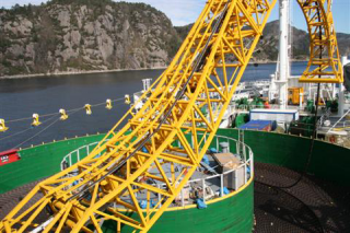 Statnett, KfW and TenneT to Develop Subsea Cable Between Norway and Germany