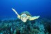 Cyprus to Create Five New Marine Parks