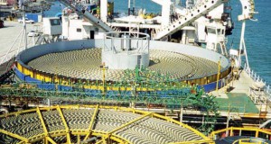 Italy Prysmian Receives Investor of Year Prize