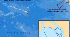 NOAA Seeks Opinion on Rule to Protect Marine Mammals During Navy Testing Off California and Hawaii