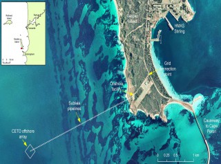 Carnegie Receives Funding from WA Govt for Milestone of Perth Wave Energy Project
