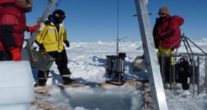 Primary Productivity Monitoring in Antarctic Using CTG FastOcean FRRf System
