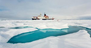 Study on Rapid Changes in the Arctic Ecosystem