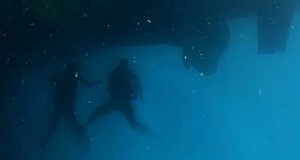 Two Navy Divers Die While Conducting Dive Operations in Maryland, USA