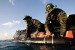UK: SeeByte’s SeeTrack Military Now Compatible with Marine Sonic Sea Scan HDS