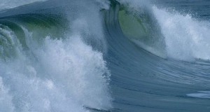 USA DOE Launches Database on Environmental Effects of Marine Energy Development