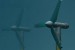 Authorities Discuss Renewable Energy Development in the Channel Islands