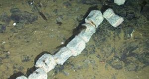 Biologists Find Whale Skeleton on Ocean Floor near Antarctica