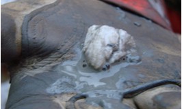New Tool for Measuring Frozen Gas in Ocean Floor Sediments Developed (UK)