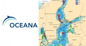 Oceana Proposes New Marine Protected Areas in the Baltic Sea and Kattegat