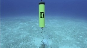 UK Underwater Noise Workshop Successfully Hosted by HR Wallingford and Baker Consultants